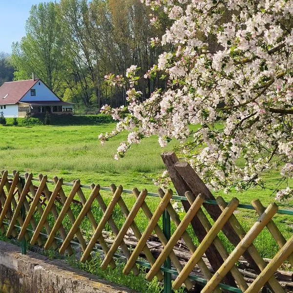 Erdőszéli Vadásztanya，位于Nemesnádudvar的酒店