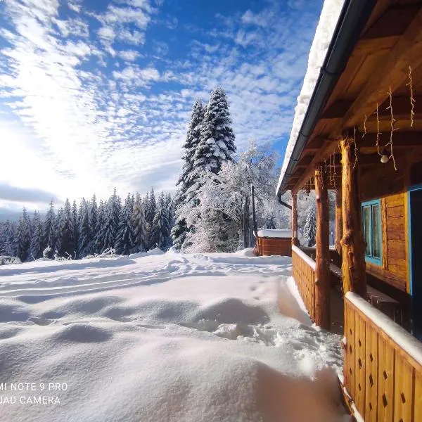 Căsuța de la munte，位于比斯特里察的酒店