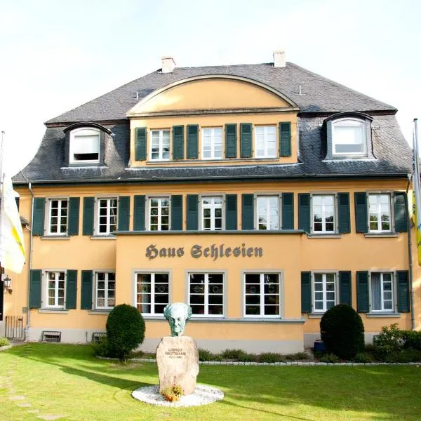 施莱希恩之家酒店，位于Rolandswerth的酒店