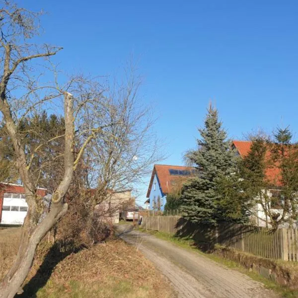 Blaues Haus-Urlaub mit Alpakas oder nur eine schöne Unterkunft in der schaalseergion，位于Carlow的酒店