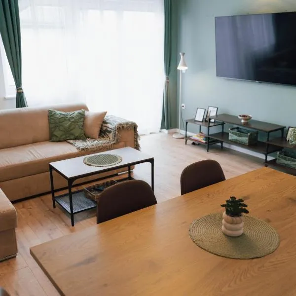 Vista Apartment，位于Sveta Trojica v Slovenskih Goricah的酒店