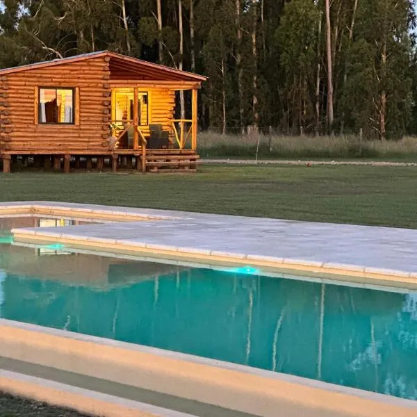 Cabañas Laguna de los Sauces，位于阿苏尔的酒店