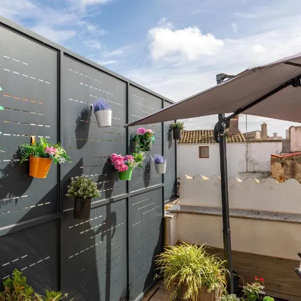 Apartments BICO DE RODAS a Rural Luxury，位于Torrequemada的酒店