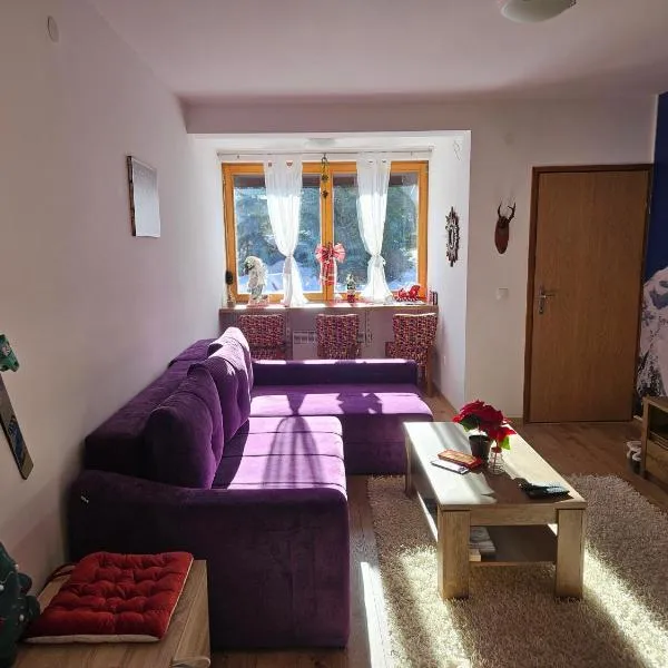 Apartment Violet Jahorina，位于亚霍里纳的酒店
