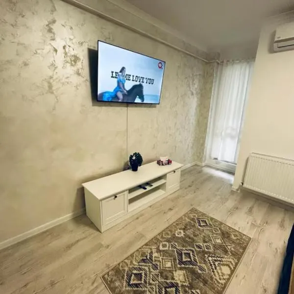 garsoniera mobilata，位于Dudu的酒店