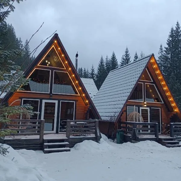 В Обіймах Гір，位于米日吉里亚的酒店