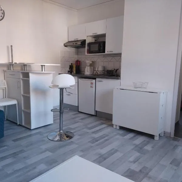 Studio 25 m2 centre Uriage，位于Saint-Martin-dʼUriage的酒店