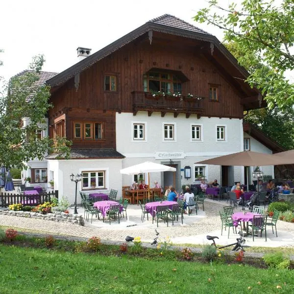 Erlachmühle，位于Loibichl的酒店