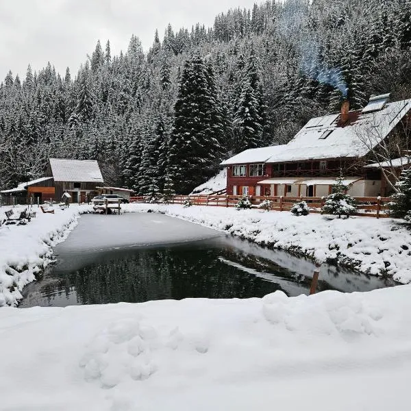 Cabană în inima munților，位于红湖的酒店