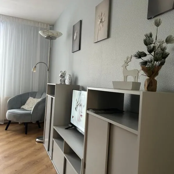 Apartamenti Bulvāris，位于阿卢克斯内的酒店