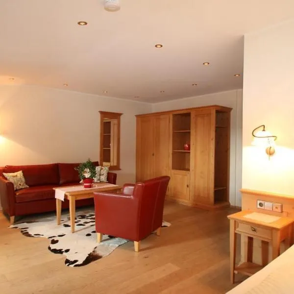 Todnauerberg Hotel im Schwarzwald，位于托特瑙的酒店