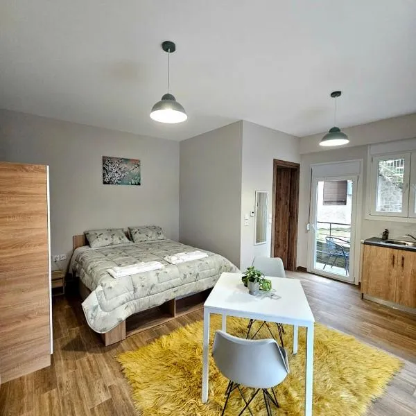 Studios Iris，位于普拉曼塔的酒店