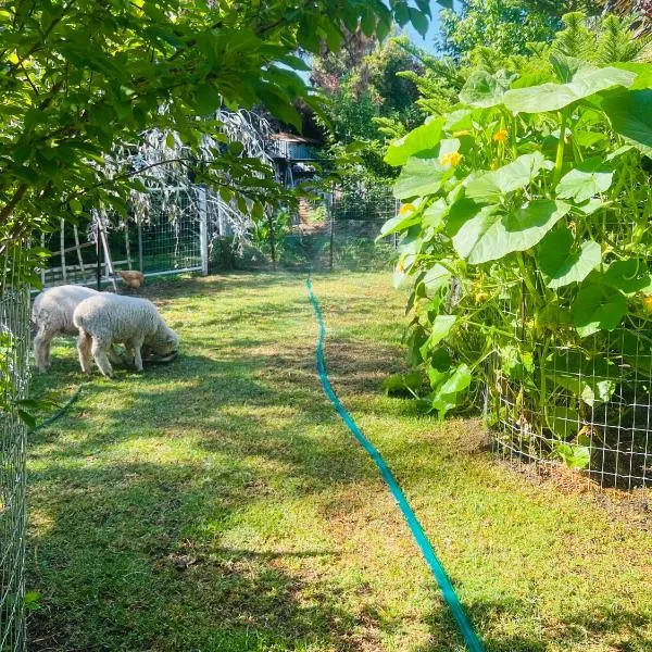 Bird Paradise & mini farm，位于本迪戈的酒店