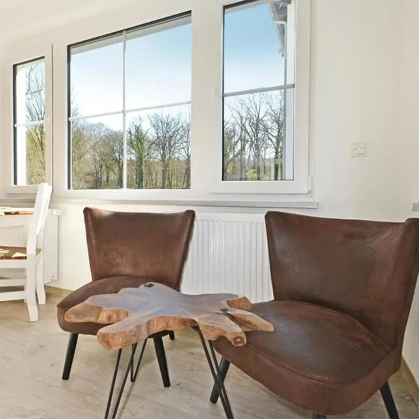 Villa Doris Bng 8 Hanau，位于黑灵斯多夫的酒店