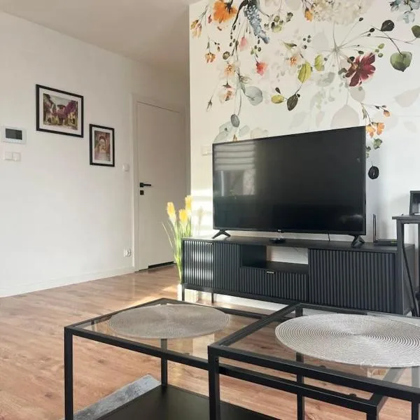 Apartament Andrea，位于奥莱希尼察的酒店