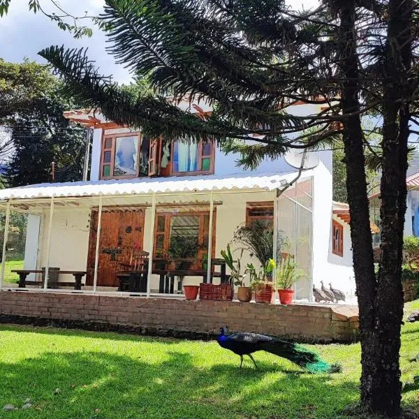 Cabaña Buenavista 3 habitaciones，位于莱瓦镇的酒店