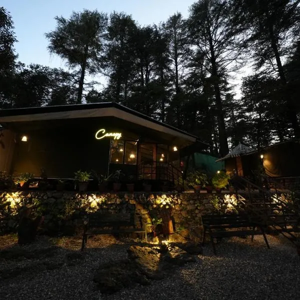 Treetop Glamps，位于穆索里的酒店