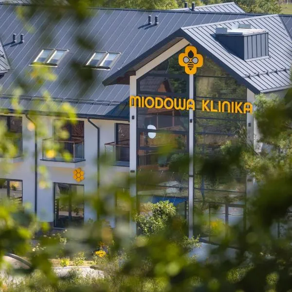 Miodowa Klinika，位于Kamianna的酒店