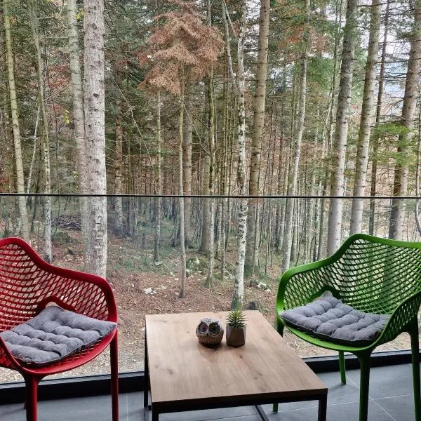 Green peace-Bjelašnica，位于Sarajevo的酒店