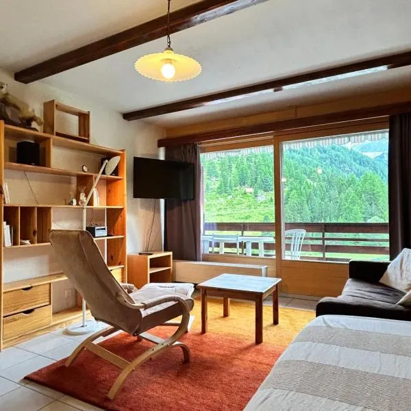 Appartement-Siviez，位于西维耶兹的酒店