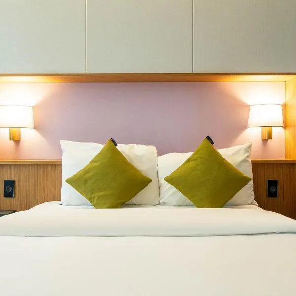 South Vandeco Hotel，位于釜山的酒店