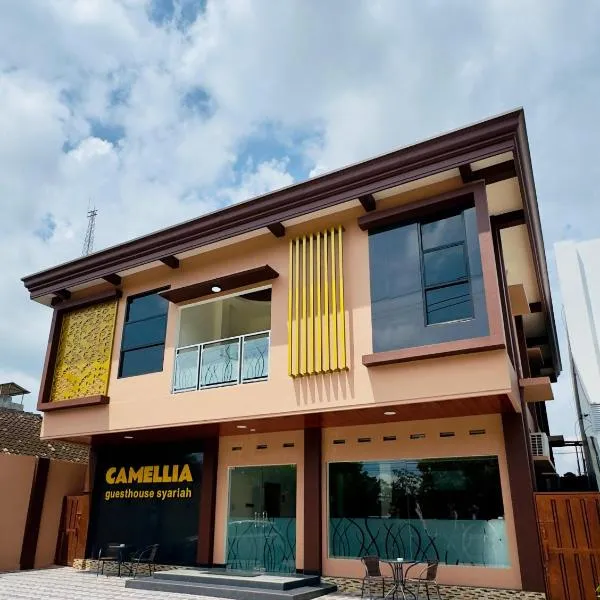 Camelia Guesthouse Syariah，位于巴芝丹的酒店
