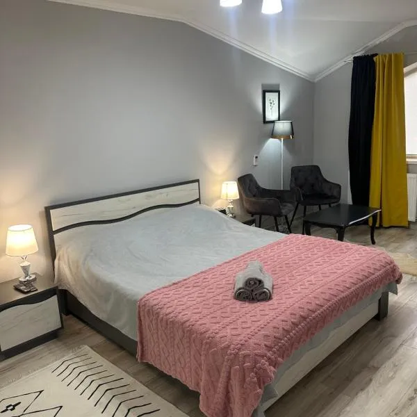 Ștefan House 1，位于Căuşeni的酒店