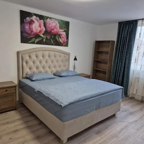 Apartament spatios 2 camere，位于Cugir的酒店