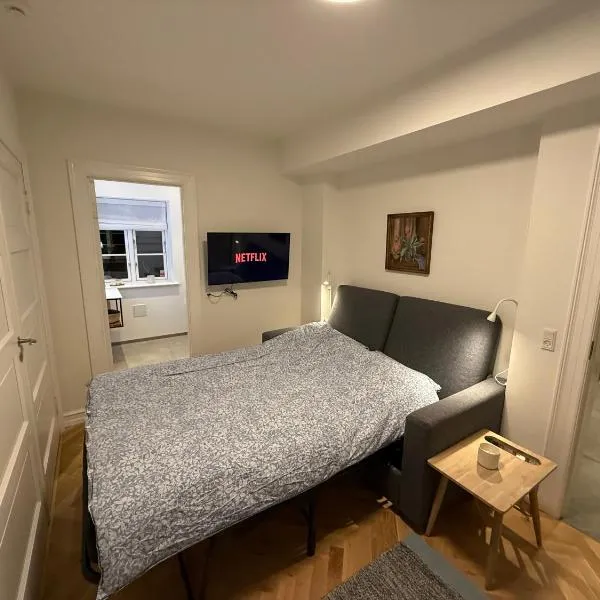 Ny & hyggelig moderne suite，位于维兹奥勒的酒店