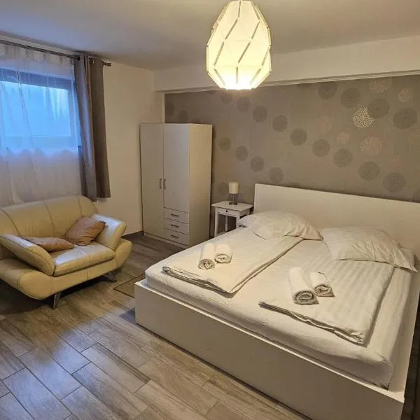 Neferprod Apartments - IS - CAM 06，位于蒂米什瓦拉的酒店