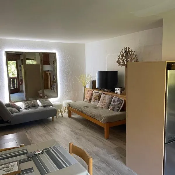 Grand studio Combloux - Vue Mont Blanc，位于孔布卢的酒店