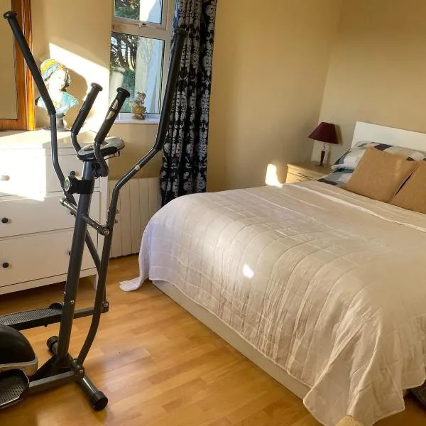 An Teach Tykillen Cosy Home，位于利默里克的酒店