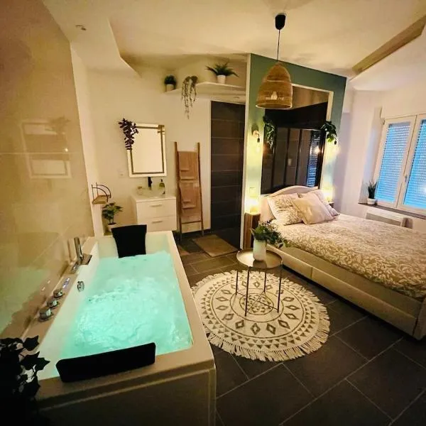 Le Cocon des Rives，位于南希的酒店