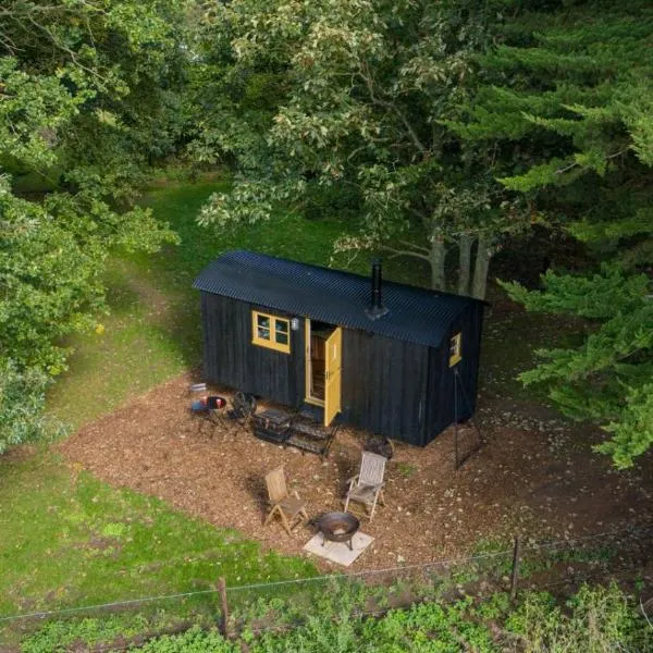 Secret Paddock Shepherds Hut，位于Hollesley的酒店