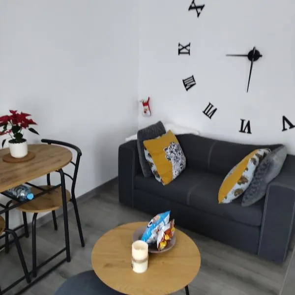 Bel appartement entier F1 à 5 mn de Mulhouse，位于Zillisheim的酒店