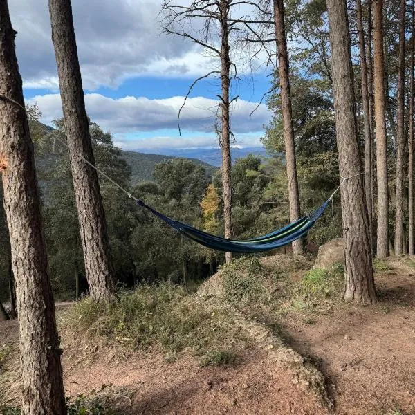 Cabañita de madera en Mas Coguleras，位于Sant Jaume de Llierca的酒店