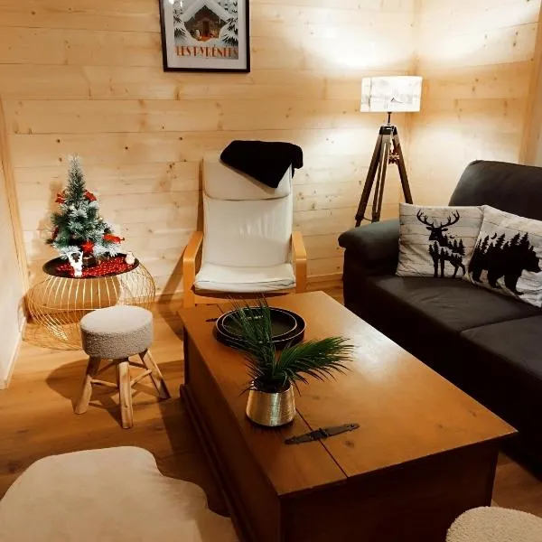 Bel appartement proche Saint Lary Soulan，位于维耶尔奥尔的酒店