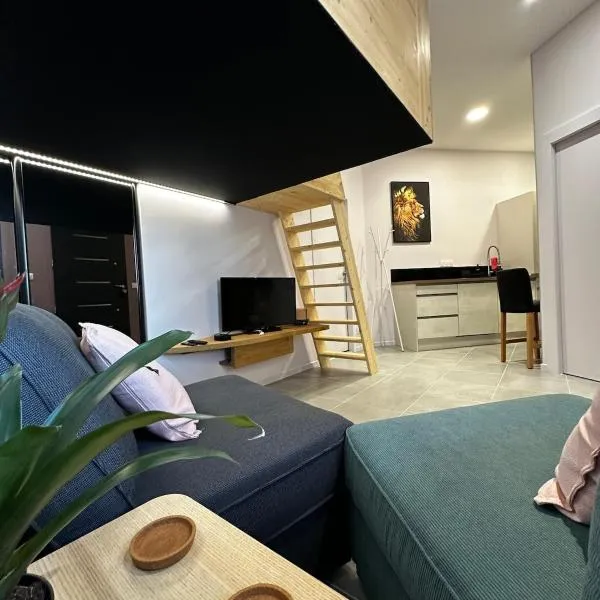 Le Studio de l 'Avenue，位于瓦朗斯的酒店