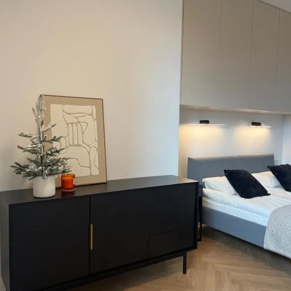 Apartament N13，位于加尔沃林的酒店