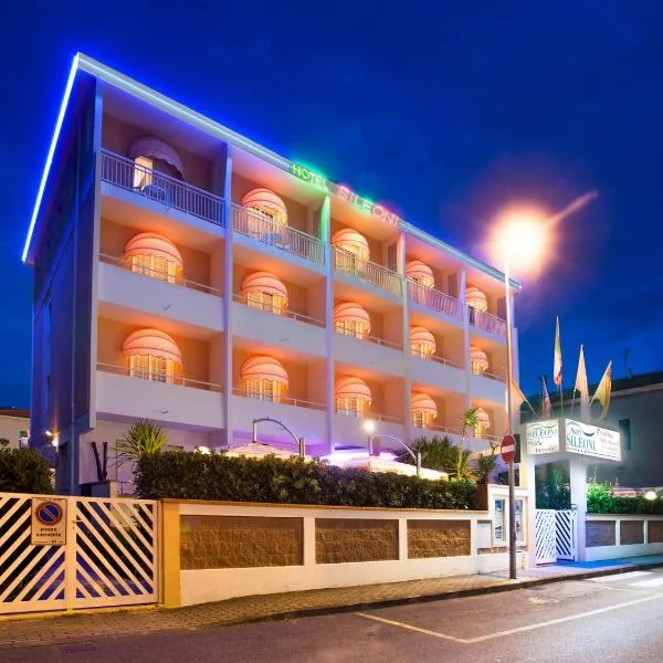 塞里尼安东尼奥别墅酒店，位于切齐纳码头的酒店