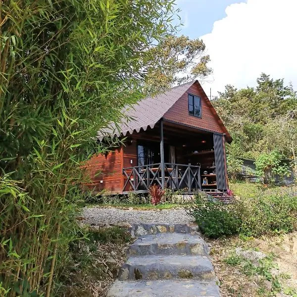 Cabaña Momotus II，位于Concepción的酒店