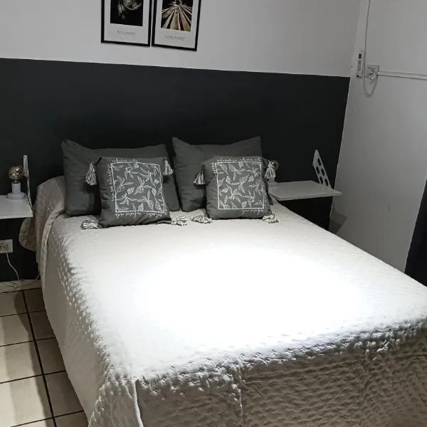 Departamento Alem，位于波萨达斯的酒店