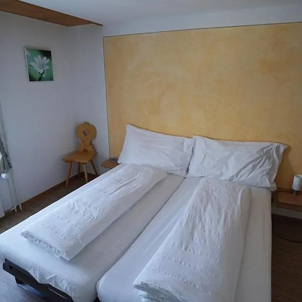 Landgasthof Sternen，位于Benken的酒店