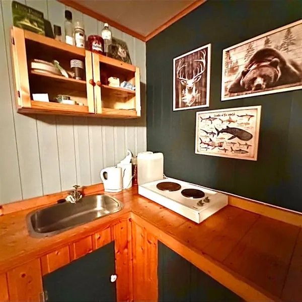 Turifoss Camping Cabin 1，位于Meråker的酒店