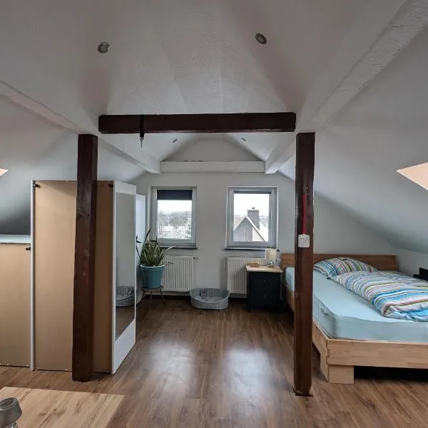 Dachgeschosswohnung mit Loftcharakter，位于Sparneck的酒店