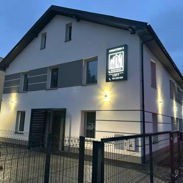 Kamienica LOFT，位于切霍齐内克的酒店