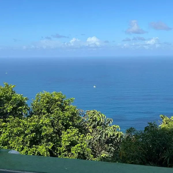 The North Look Out，位于Tortola Island的酒店