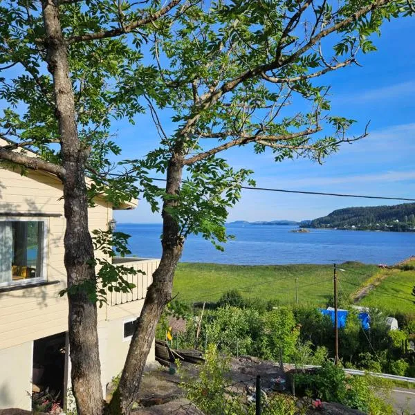 Utsikten Bjerkøya with boat - Where the View Meets the Sea, app 1h from Oslo，位于Holmestrand的酒店