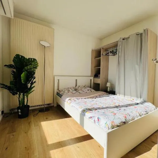Charmant appartement en plein centre ville de Nogent sur Marne，位于马恩河畔诺让的酒店