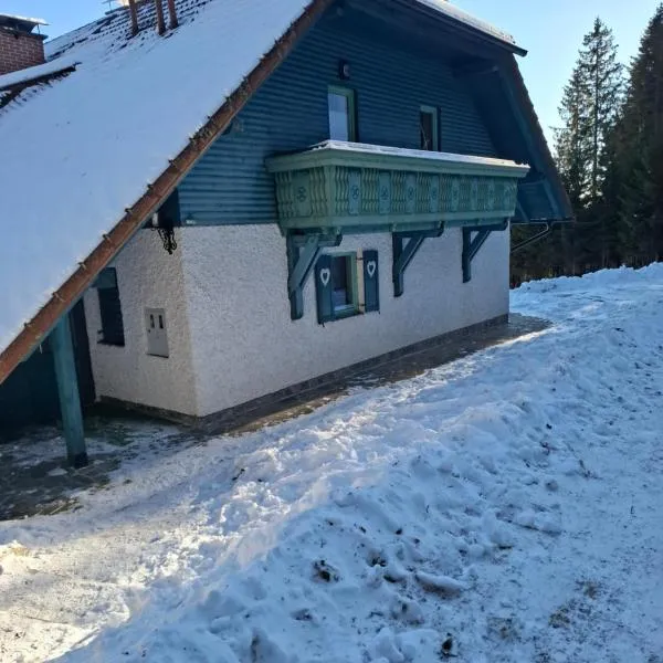 Apartma Jurček Rogla，位于Rakovec的酒店